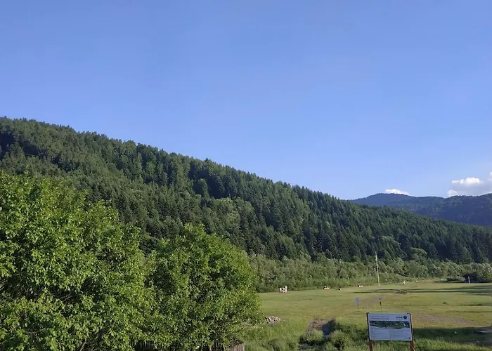 Harmony.of.mountains Twin 스콜레