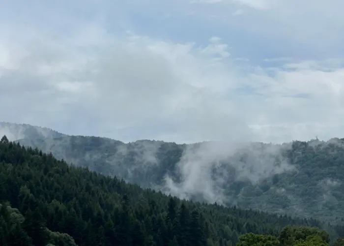 아파트 Harmony.of.mountains Twin *
